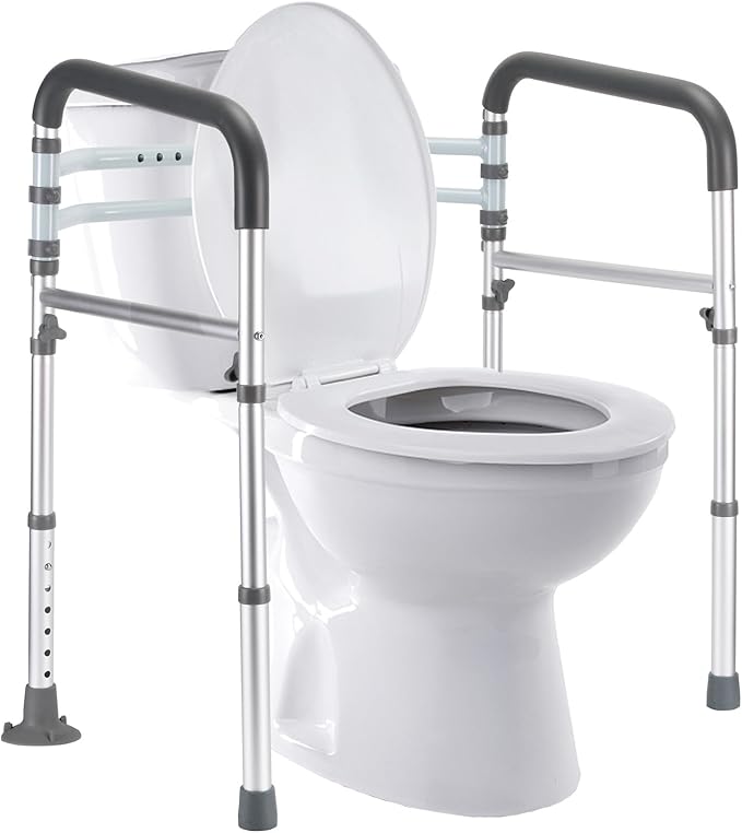 Toilet Safety Rails